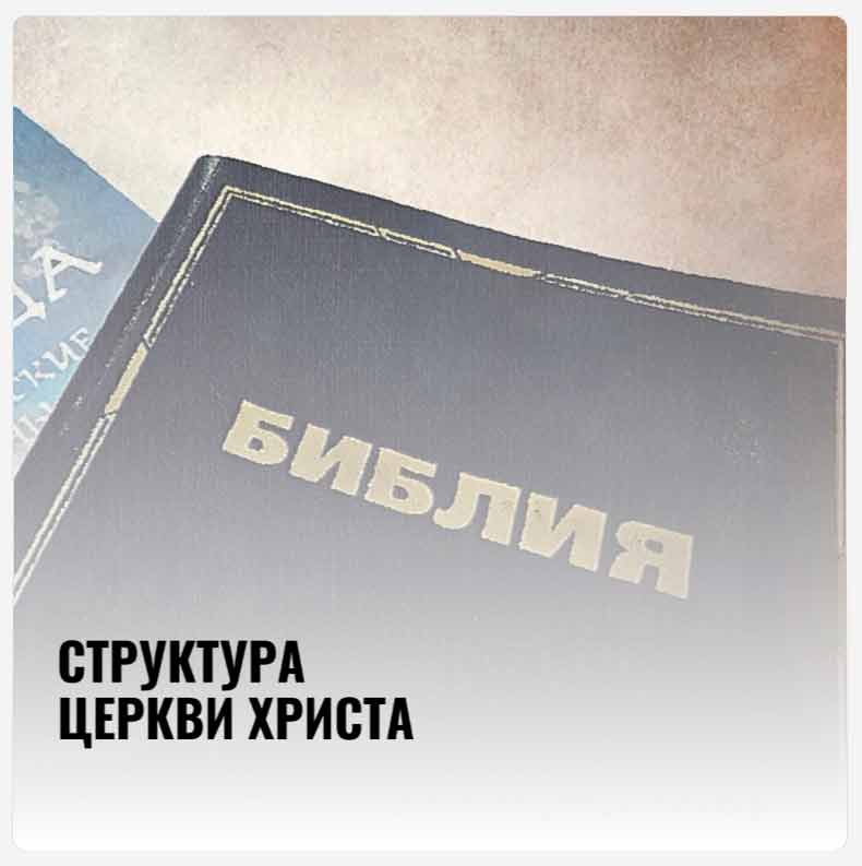 ➥ СТРУКТУРА ЦЕРКВИ ХРИСТА